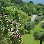 San Michele 4* קוסטרמנו