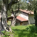 מלון דירות San Michele קוסטרמנו