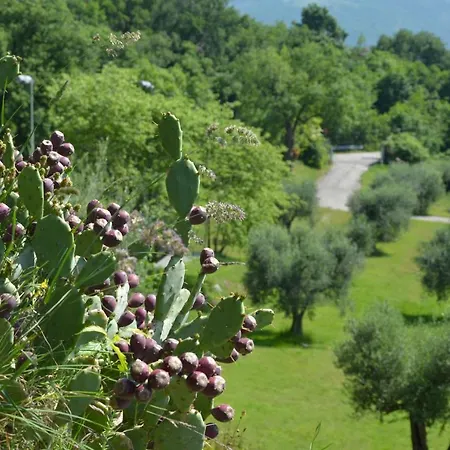 San Michele 4* Costermano