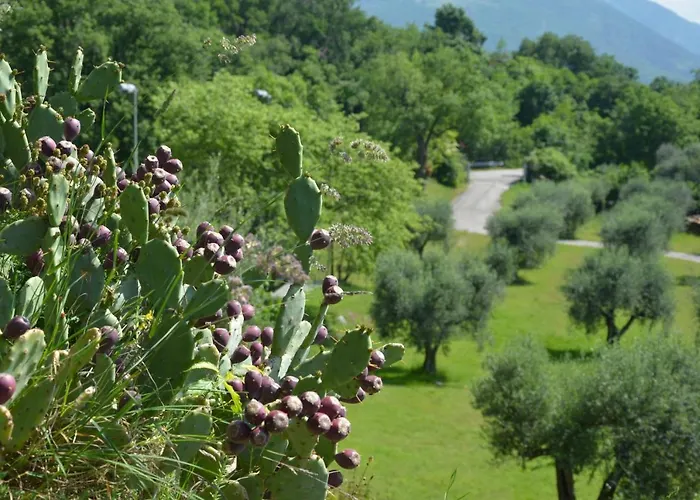 San Michele 4* Costermano sul Garda